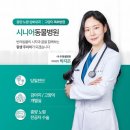 우성쁘띠오피스텔 | 서초동 동물병원 시니어동물병원 위치 오는길 후기
