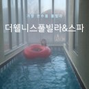 가평독채빌라 실내 온수풀 온가족이 즐기기 좋은 더웰니스풀빌라&amp;스파 추천