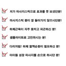 쏭스 이미지