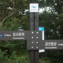 남해상사 이미지