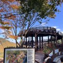 의병대로15길 | [단양&amp;제천] 1박2일 단풍여행 🍁 (보발재,구인사,구경시장,도담삼봉,만천하스카이워크,의림지)