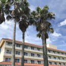 제주YOUNG돈 이미지