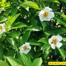 농업체험공원 이미지