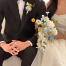 코지무이 | [Review] 코지포레스트 무이스튜디오 가성비 플라워디렉팅 후기 짝궁할인