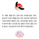 미리보는 띠별 내일의 운세 (10월13일) 이미지