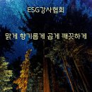 15. ESG 기후변화와 미세먼지 예방치료, 호흡기에 좋은 나물, 음식, 반려식물 이미지