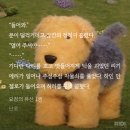 세은하이진 | [2024-03] 사랑은 내게 다른게 아니고