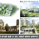 생활권10 Daum카페