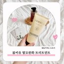 극손상 헤어팩 봄비유 한올 단백질 트리트먼트 사용해 봤어요!