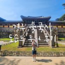 관문초등 | 경주 불국사 도슨트 투어 후기 초등학생 아이와 함께한 특별한 경험