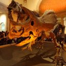 이상은 살아있다. 이미지