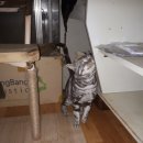 비결농장 이미지