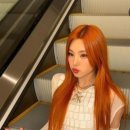 파슈헤어 이미지