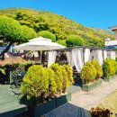 카페또또 이미지