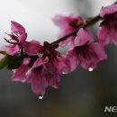 설천면120 뉴시스