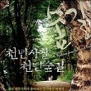천년숲 이미지