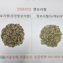 햇 흑찰보리쌀(검정찰보리쌀) 판매개시 26년산 이미지