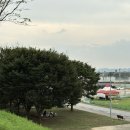 그린 브라우니 이미지