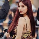 레드플랜 네이버블로그