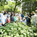 가막들공원 이미지