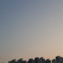 일등식품 이미지