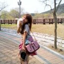 행복한 강아지 이미지