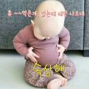복숭아과수원 이미지