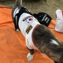 뚜비농장 이미지