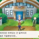 상록체육관 이미지