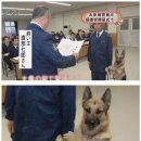 아빠손