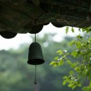 은사랑 - 창원시 진해구 벚꽃로 74 | 은사랑