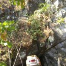 글로리야 이미지