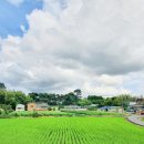 풀빛향기 이미지