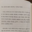 미모고양이 이미지