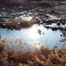 동창교화장실 이미지