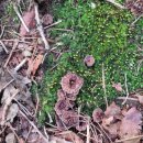 어답산 어슬렁빌리지 이미지