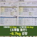 쿡앤머슬 이미지