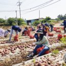 서호면사무소 이미지
