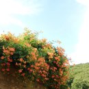 맘스터치 자인점 이미지