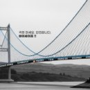 바이세이프
