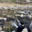 네스트캠핑장 이미지