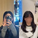 [서울/신촌] 헤어디하트 신촌점 뿌리볼륨펌, 모류교정 헤어컨설팅 후기