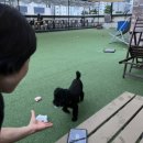 카페루체 이미지