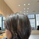 호텔보브 | 대전보브단발 타샵에서망한보브단발 중년보브단발끝판왕