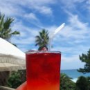 데이지브런치 이미지