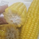 범이농장 이미지