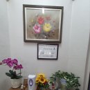신비한타로사주