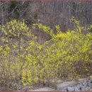 정암축산 이미지