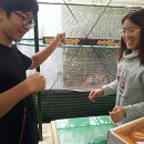 정학농장 이미지