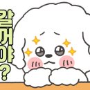 강아지삼촌